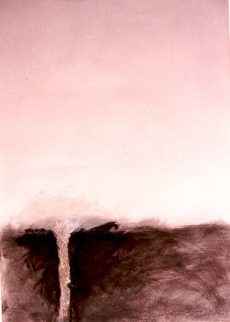 017 (7)
